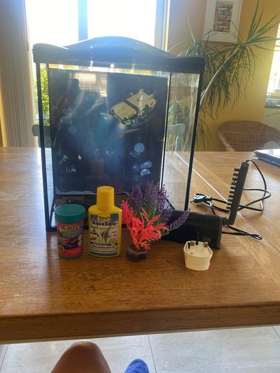 Glass Fish Tank