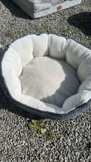 Dog Beds