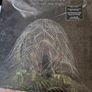 Sleep Thieves You Want the Night Vinyl Image 2