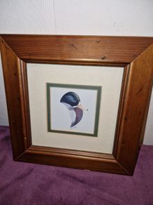 Vintage Drake print
