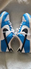 Nike Low Dunk trainers