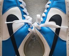 Nike Low Dunk trainers