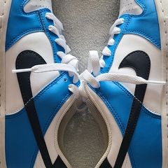 Nike Low Dunk trainers