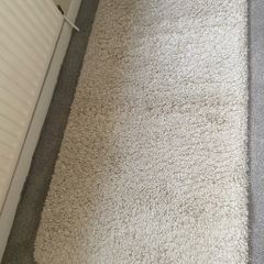 Shaggy Cream Rug