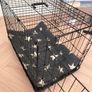 Medium Dog Crate + Dog Bed - Like New Image 5