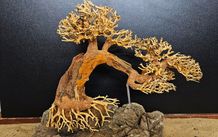 Bonsai Tree Winding Style Large