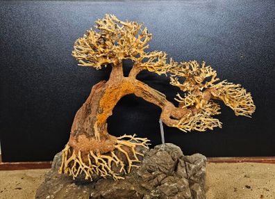 Bonsai Tree Winding Style Large