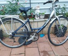 giant  expression hybrid serviced