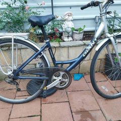 giant  expression hybrid serviced