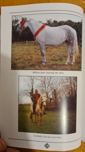 The Life And Times Of An Irish Countryman. A Biography Of Tommy Keane. By Michael Judge. Paperback In Good Condition.