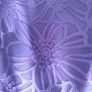 dress Image 2