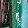 Lawnmower Image 4
