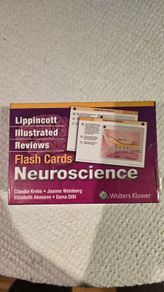 Lippincott Illustrated Reviews Neuroscience Flash Cards Box