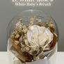 Rose Bouquet Under Glass Dome (6 Colour Options) Image 4