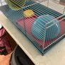 Hamster Cage Image 2