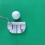 Putter Image 2