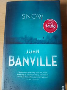 John Banville : Snow