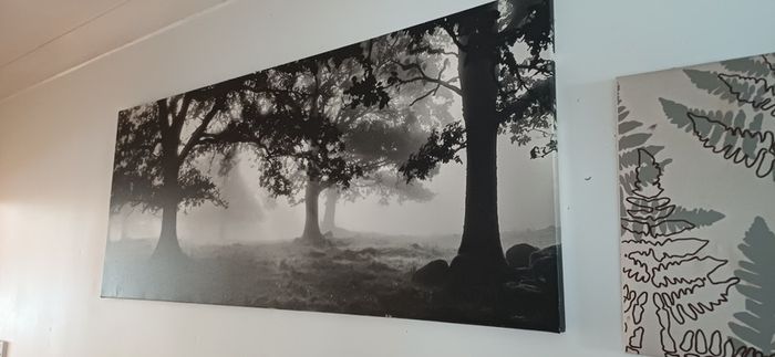Large wall picture/ art/ painting