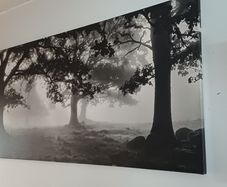 Large wall picture/ art/ painting