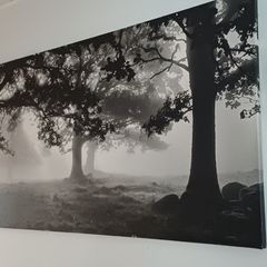 Large wall picture/ art/ painting