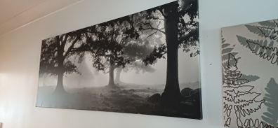 Large wall picture/ art/ painting