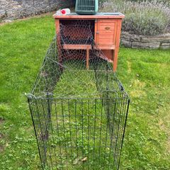 rabbit hutch