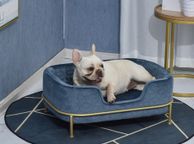main image for ad Velvet Pet Sofa with Removable Cushion anad a comfortable Metal Stand