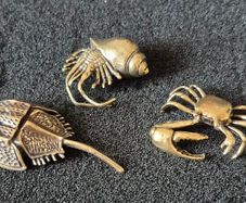 3 brass crabs,. Solid brass.