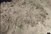 Top soil
