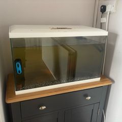 Fish tank for free