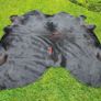 Cow's hide Image 6