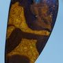 Australian Koroit Boulder Opal Pendant 11 ct on 925 Silver Image 5