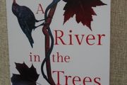 Paperback book, Fiction, Books