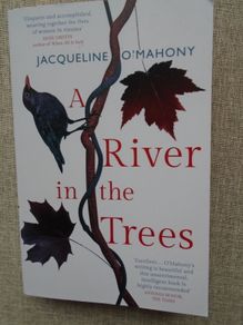 Paperback book, Fiction, Books