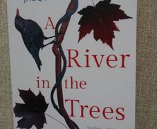 Paperback book, Fiction, Books