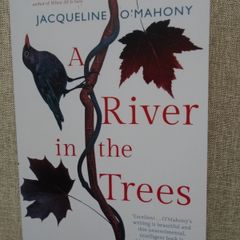 Paperback book, Fiction, Books
