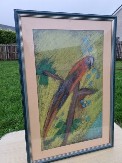John Gallagher parrot pastel