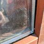 Hardwood door Image 5