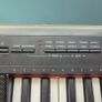 Yamaha Piaggero NP-12 Keyboard + Stand + Adapter Image 5