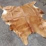 Large Cow Hide Image 2