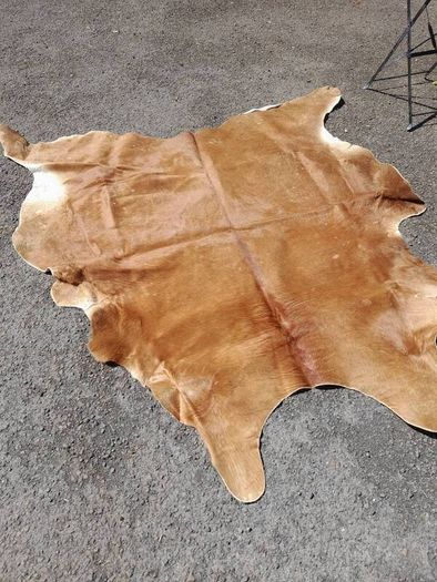 Large Cow Hide