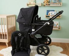 Gorgeous Bugaboo Fox 3