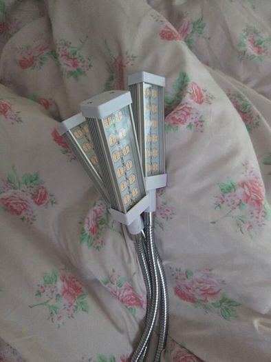 grow light