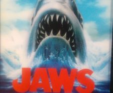 Jaws 2 3 4 Dvd Collection Shark Horror Movies