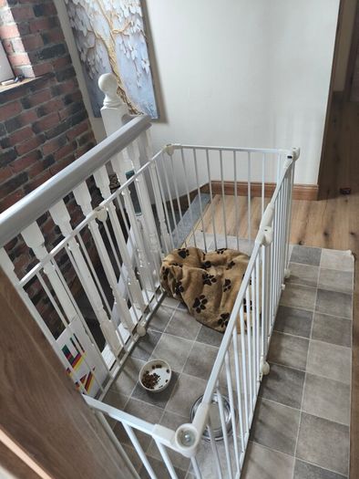 Dog Playpen with