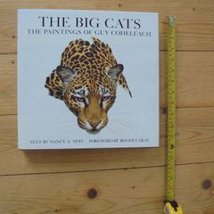 Book  The Big Cats