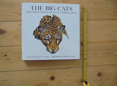 Book  The Big Cats