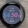 Garmin Forerunner 255: Slate Gray Image 3