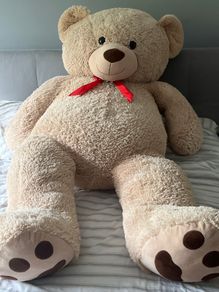 Teddy