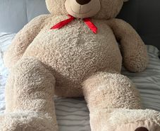 Teddy